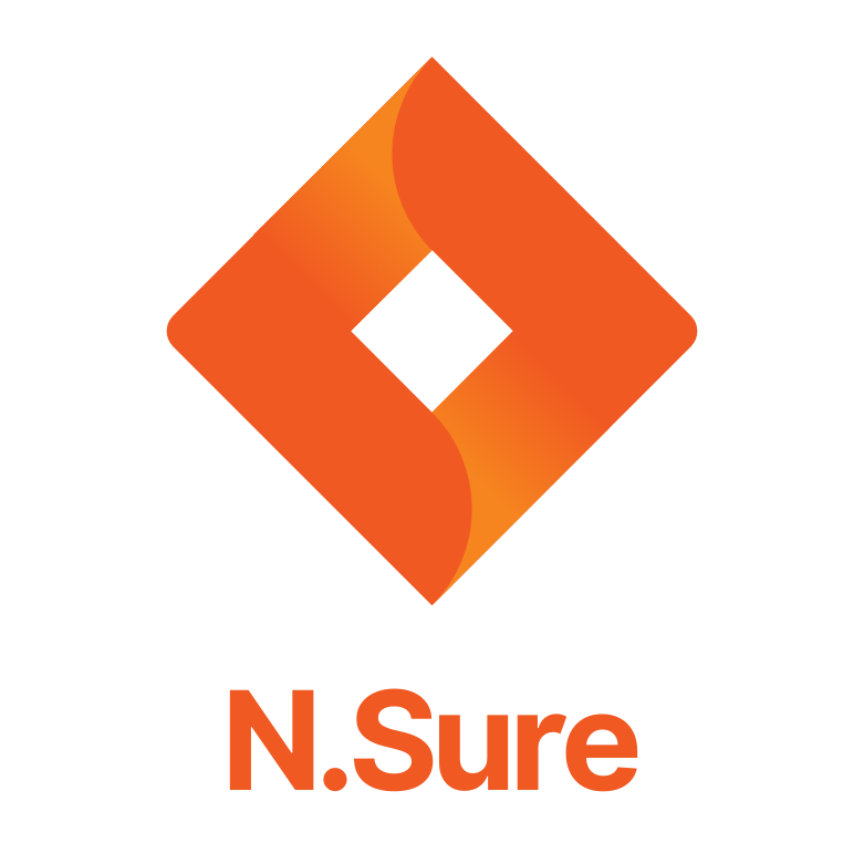 N.Sure - Professional Services